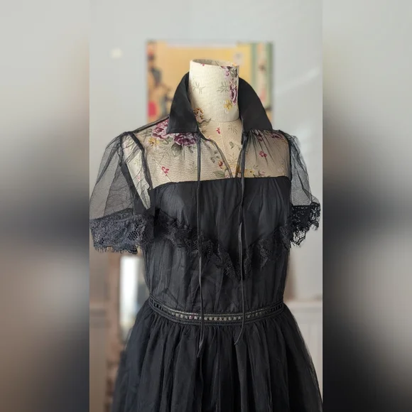 Elegant Black Sheer Dress - Picture 4 of 10